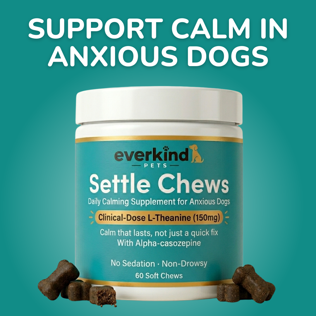 Settle Chews — Daily Calming Supplement