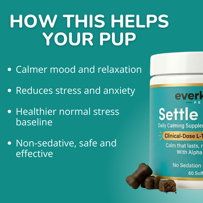 Settle Chews — Daily Calming Supplement