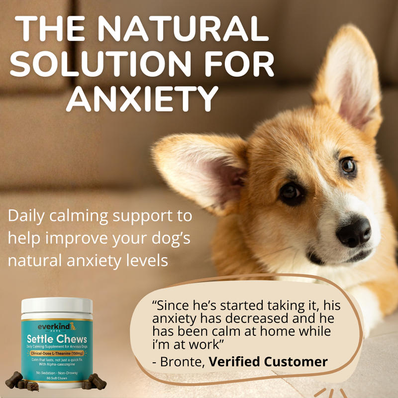Settle Chews — Daily Calming Supplement