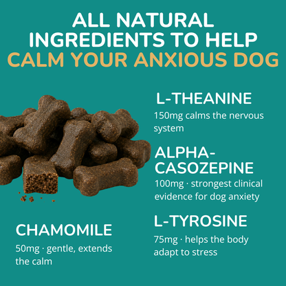 Settle Chews — Daily Calming Supplement