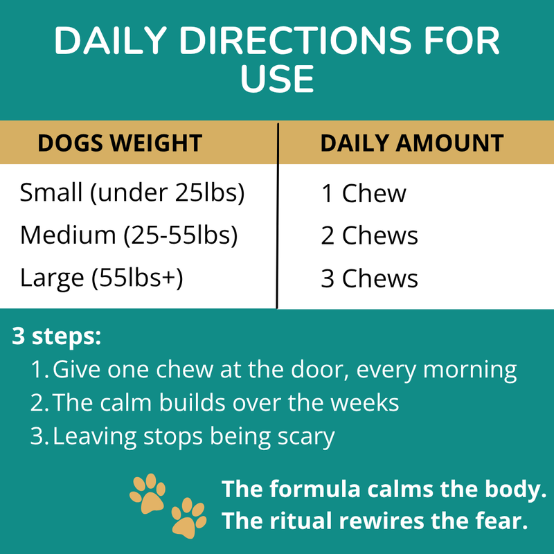 Settle Chews — Daily Calming Supplement
